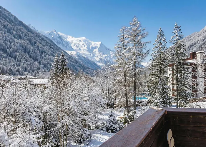Grand Roc - Ancolies 217 - Happy Appartement